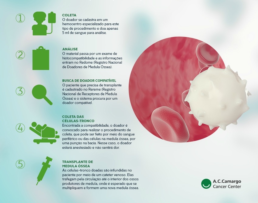 Como é feita a doação de medula óssea