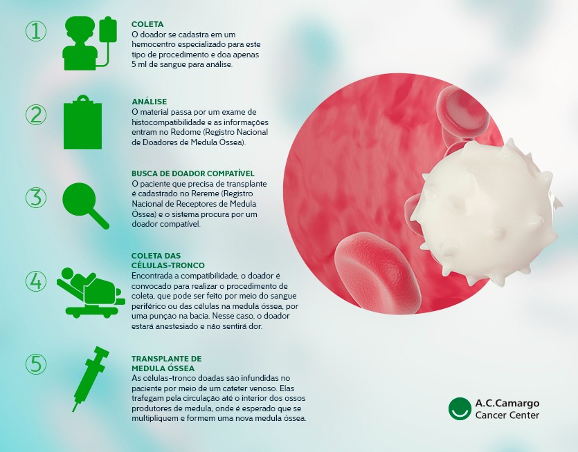 Doação De Medula óssea Saiba Como Funciona Neste Infográfico 7117