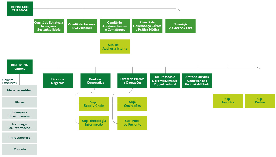 Estrutura de governança organizacional de 2020