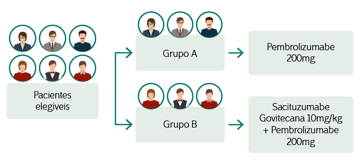 Ilustração do tratamento do estudo