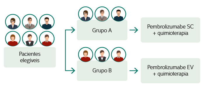 Ilustração do tratamento do estudo