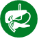 ícone de um estômago, verde com fundo branco