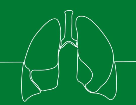 Ilustração de um pulmão com fundo verde