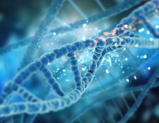 Oncogenética Clínica: Da Teoria ao Tratamento Personalizado 