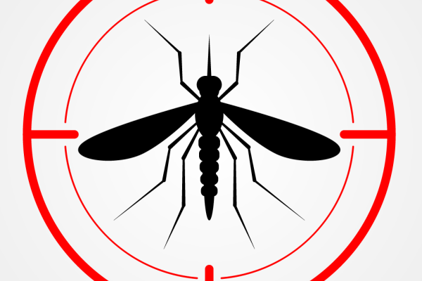 Ilustração do mosquito da dengue
