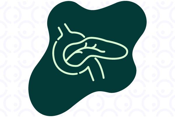 Uma ilustração do pâncreas