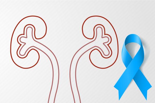 Ilustração de um rim com o laço da campanha Novembro Azul