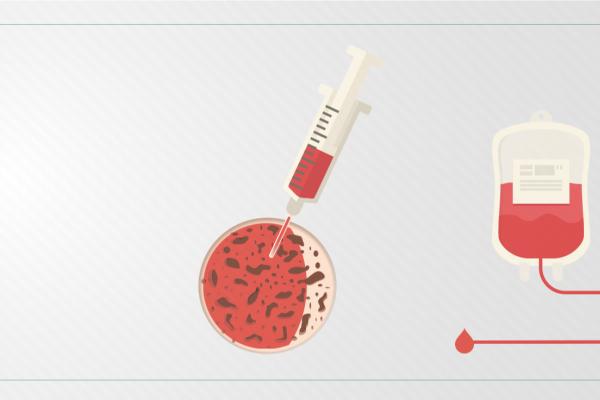 Ilustração com fundo branco e uma bolsa de sangue vermelha, além de uma seringa espetada numa célula vermelha