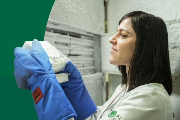 Dra. Marina DeBrot observa amostras congeladas no biobanco