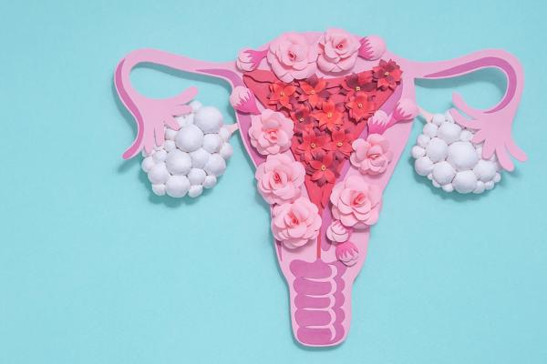 Arte gráfica de um sistema reprodutor feminino em um fundo azul claro.