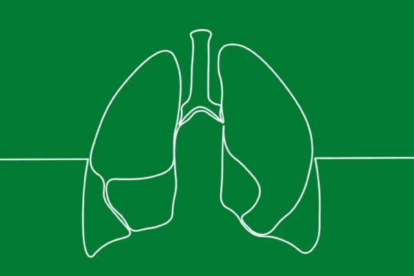 Fundo verde com ilustração branca de pulmão 