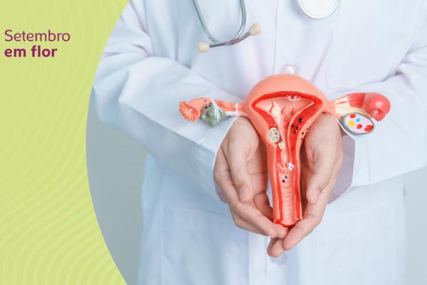 Mãos de um profissional da saúde segurando uma maquete de um sistema reprodutor feminino
