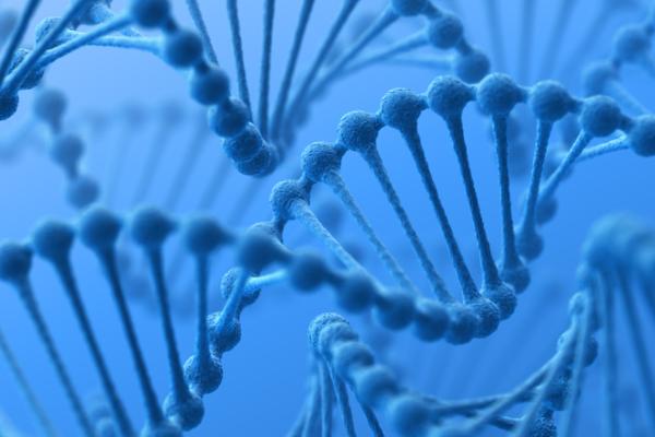 DNA