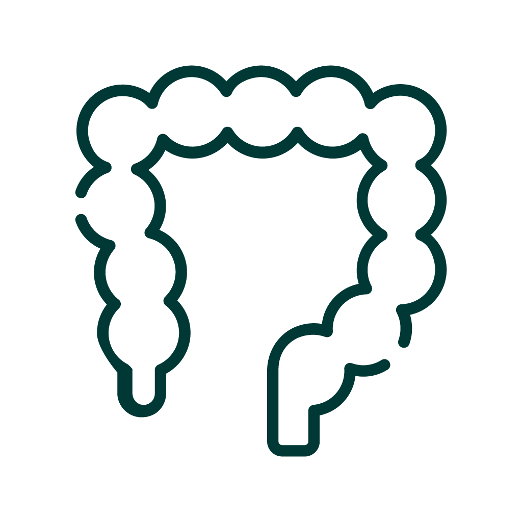 Ícone de um intestino