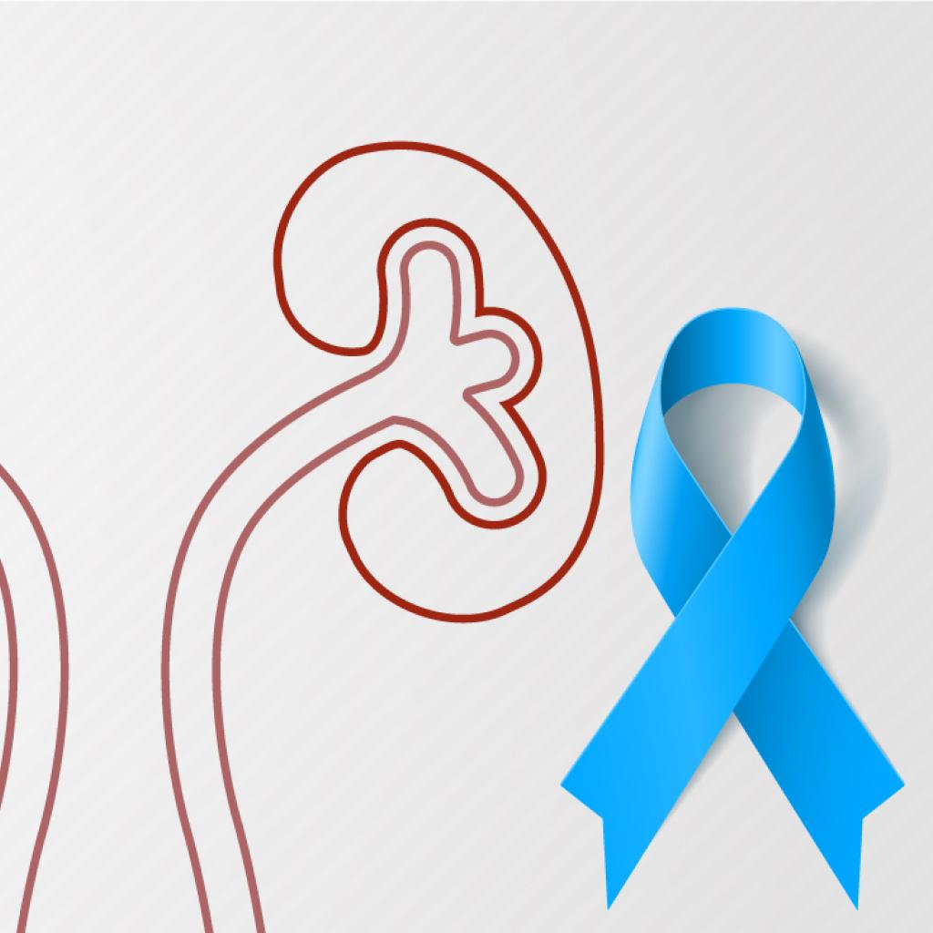 Ilustração de um rim com o laço da campanha Novembro Azul
