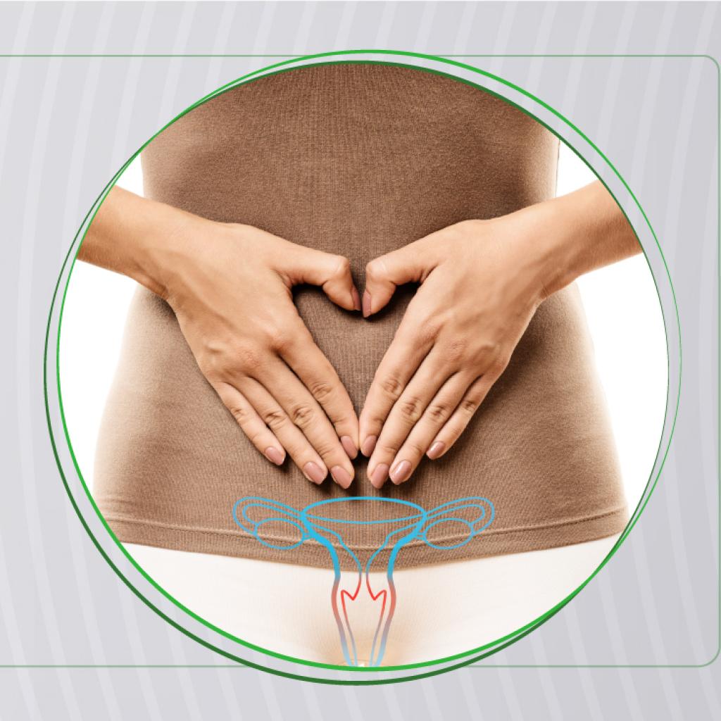 Arte gráfica com uma mulher apoiando as duas mãos na barriga. Sobreposto, tem um desenho do sistema reprodutor feminino.