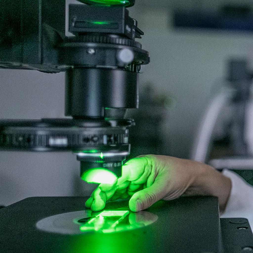 Uma pesquisadora analisando uma lâmina em um microscópio